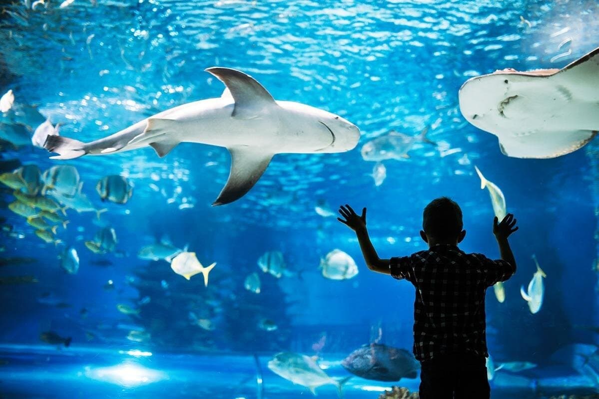 Grand Aquarium Hurghada