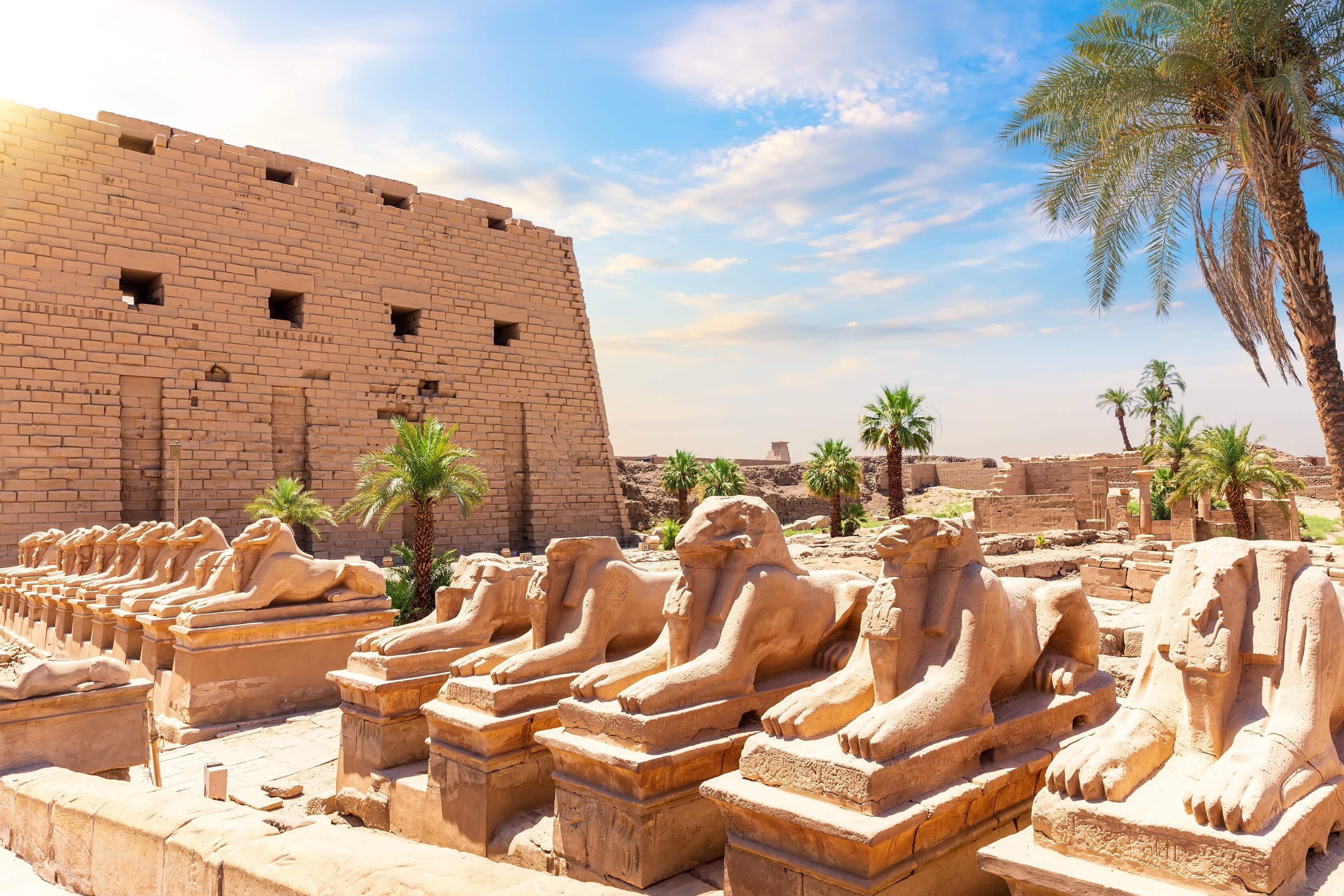 Luxor Private Tour Experience of Temples and Museums