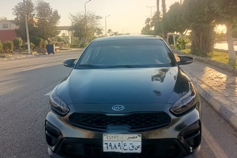 VIP Arrival Transfer: Hurghada Airport to Hotel