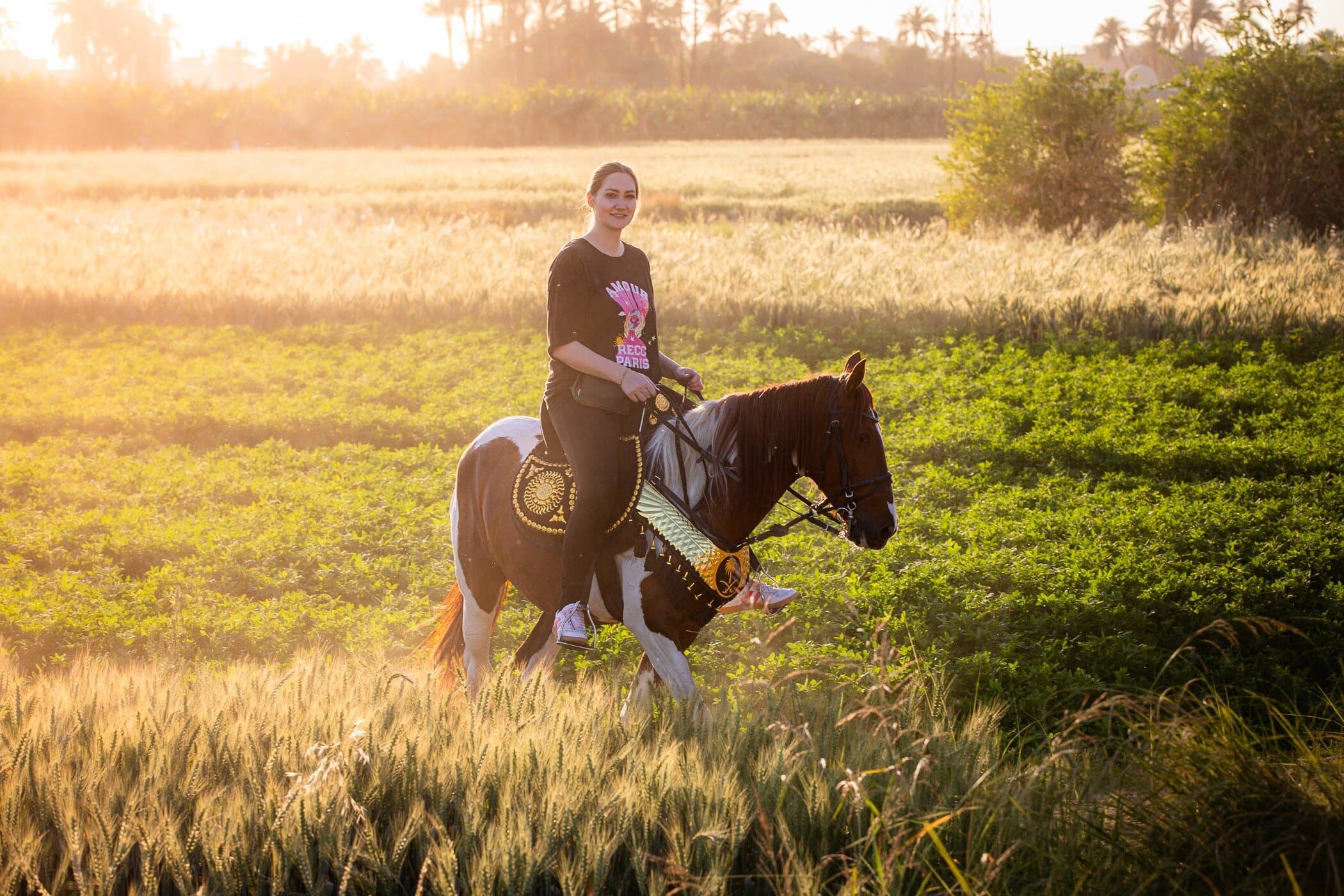 Luxor East Bank Tour - Horse Riding and Sightseeing