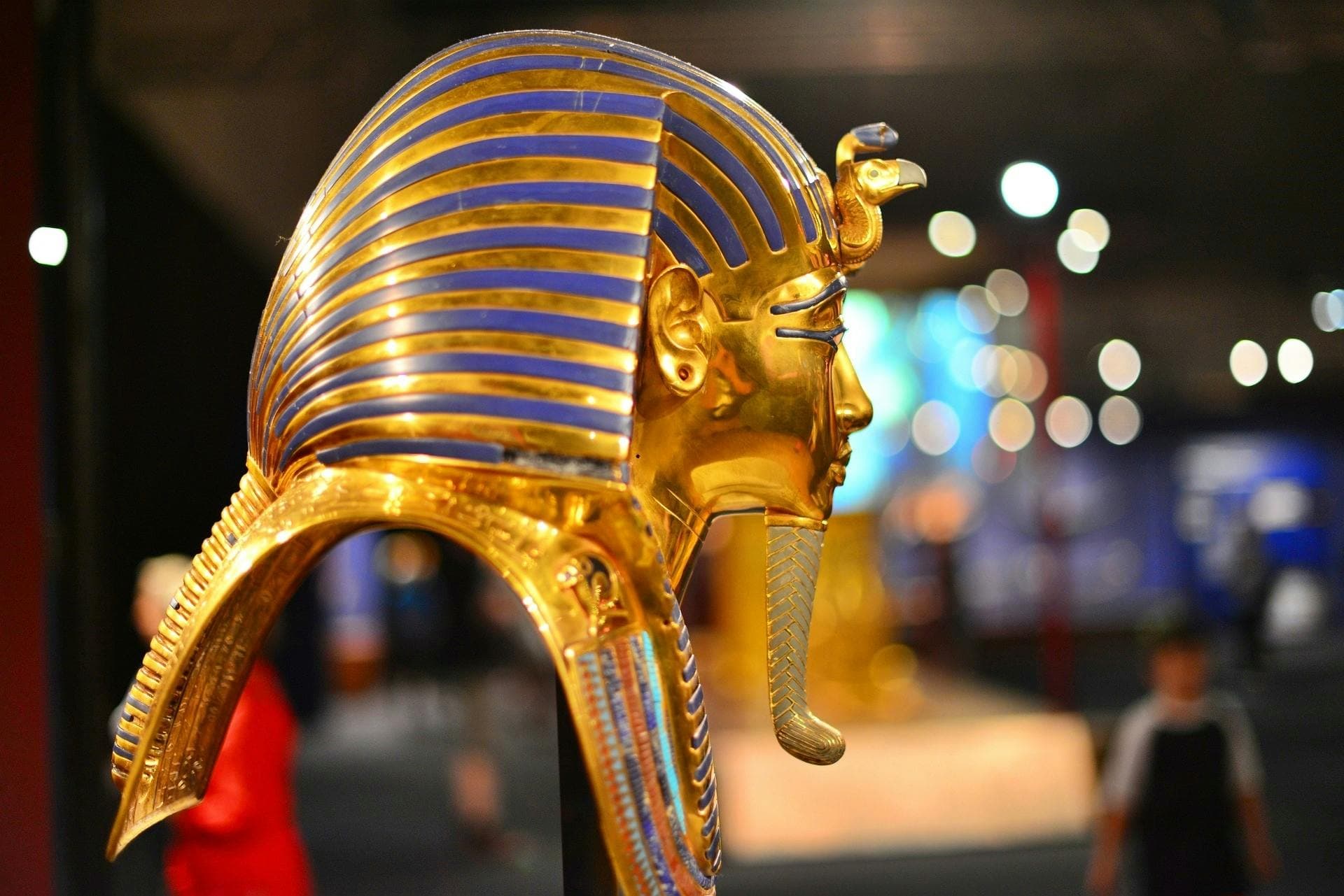 New Grand Egyptian Museum and Giza Pyramids from Cairo with Lunch