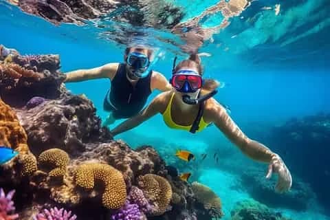 Dolphin House (Sha'ab El Erg) Snorkel Cruise