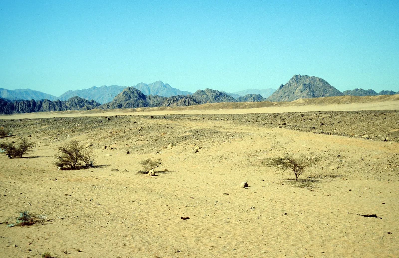 Sharm El Sheikh ATV Quad, Camel Ride & Bedouin Dinner