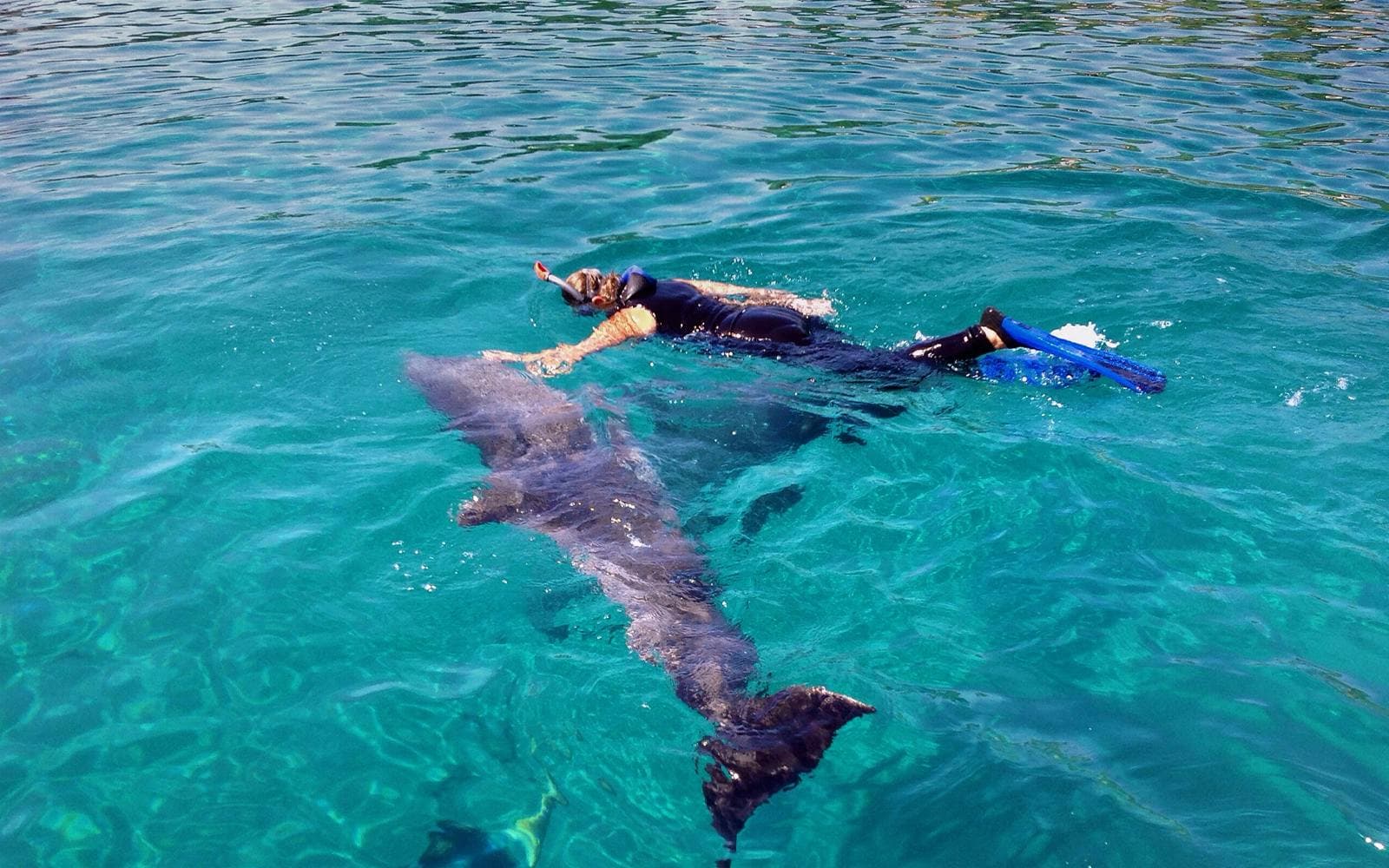 Giftun 6 Islands Speedboat Tour with Dolphin Watching, Snorkeling, Lunch & Transfers