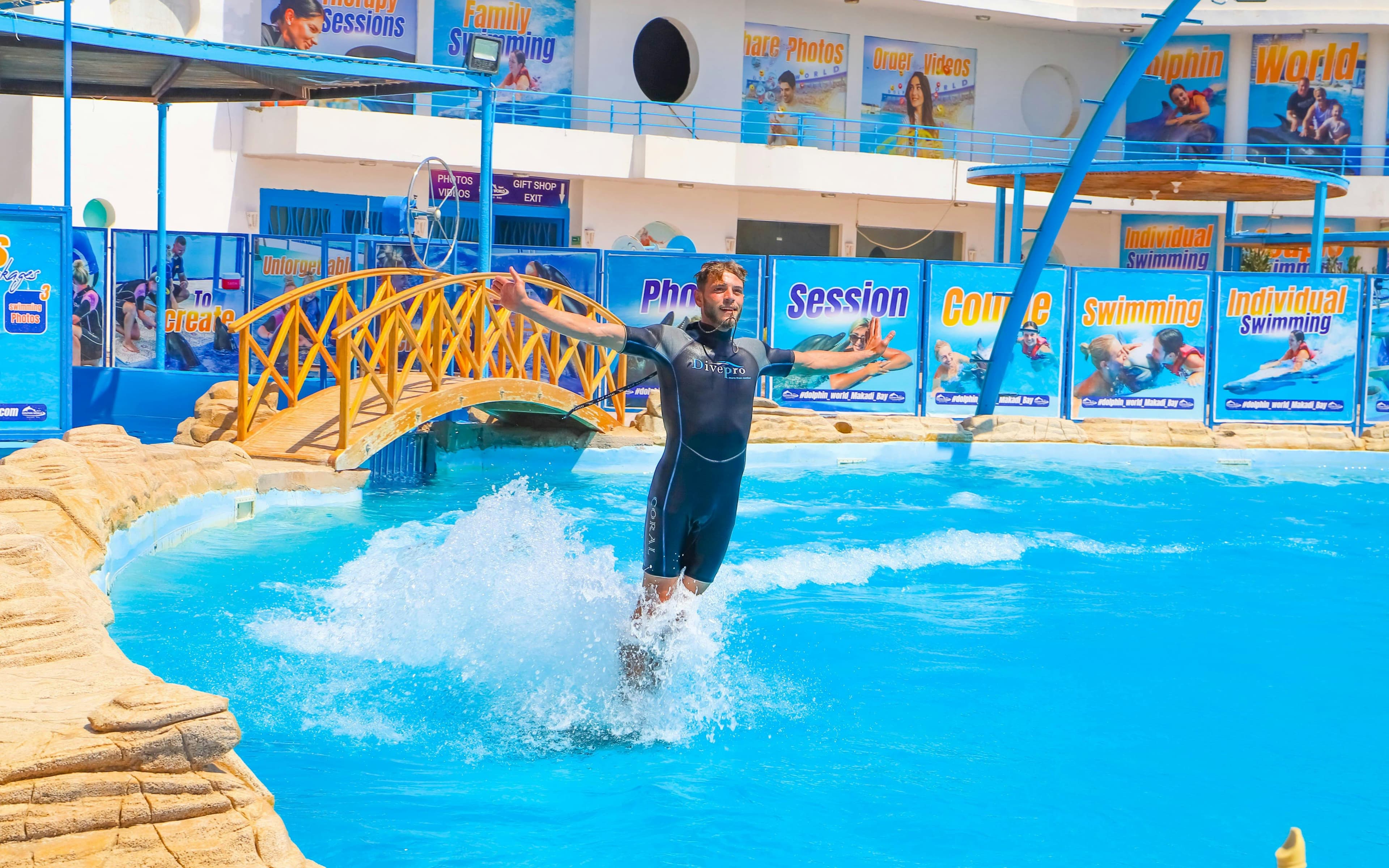 Hurghada Ultimate Dolphin Experience with Dolphin Show, Swimming Experience & Photo Session with Transfers
