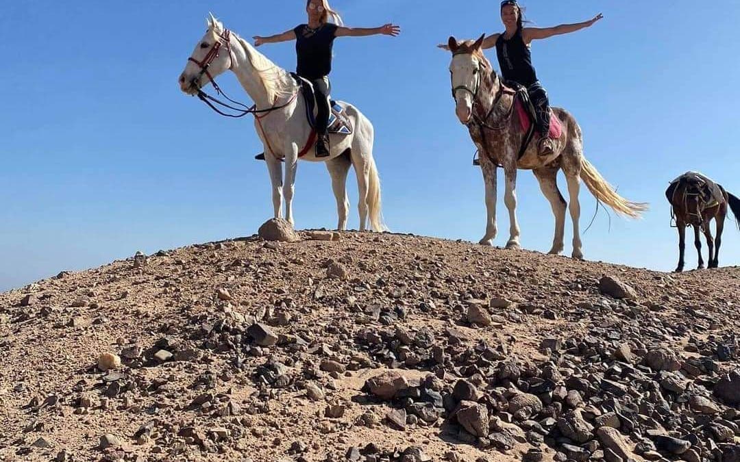 Premium 1 Hour Elite Desert Horseback Riding Adventure - Hurghada