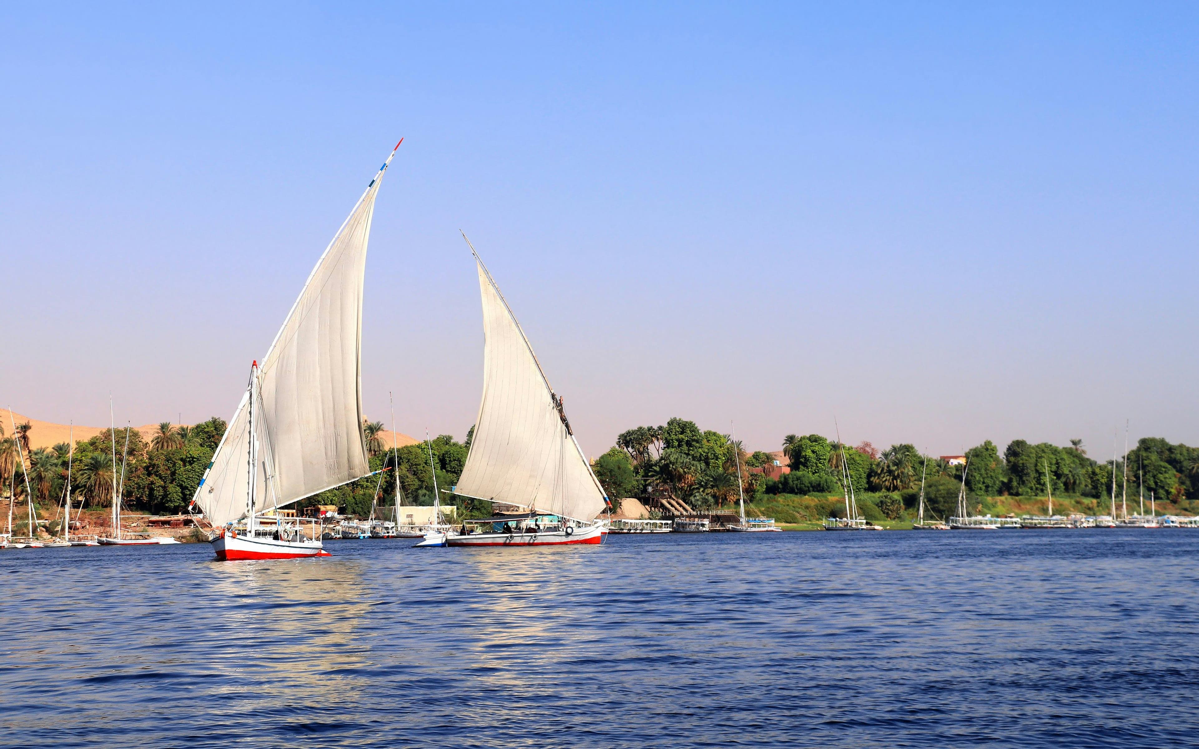From Cairo: 1 or 2-Hour Private Felucca Ride on the Nile River with Hotel Transfers