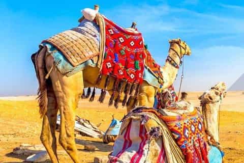 From Giza: Day tour to Giza Pyramids Tour with Pickup