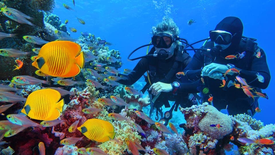 From Hurghada: Scuba Diving with Expert Guide & 2 Dives