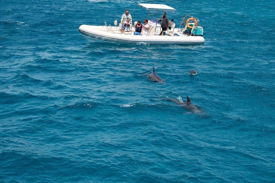 Hurghada: Orange Bay Dolphin Watching, Snorkeling & Fruits