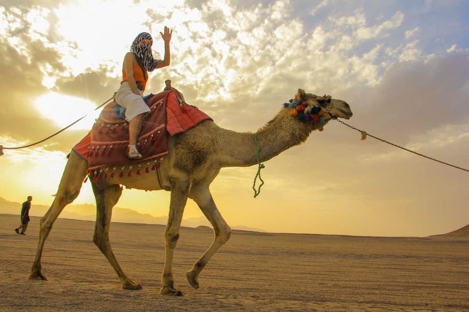 Hurghada: Camel Ride & horse ride and Off-Road Jeep Tour