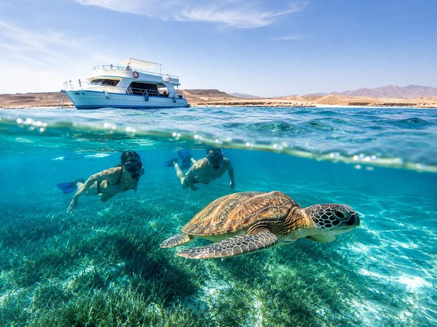 Marsa Alam: Marsa Mubarak Snorkel with Lunch & Transfer
