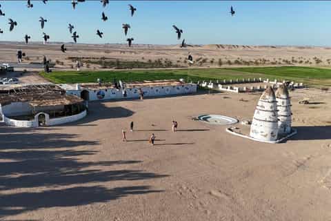 Hurghada Desert Oasis Adventure:Farm, Planting & Relaxation