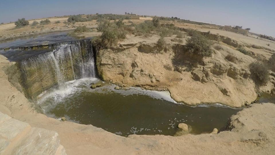 Cairo: Fayoum, Wadi El Rayan, and Wadi al Hitan 4x4 Tour