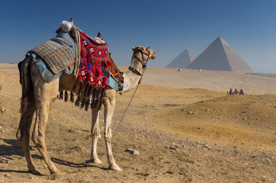 Hurghada: Cairo Pyramids, GEM & Citadel Tour by Flight