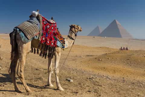 Hurghada: Cairo Pyramids, GEM & Citadel Tour by Flight