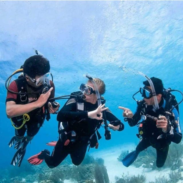 Hurghada: 3 Days PADI Open Water Diver Course with eLearning