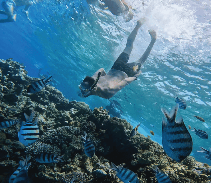 Premium Cruise To Giftun Island with Lunch & Transfer