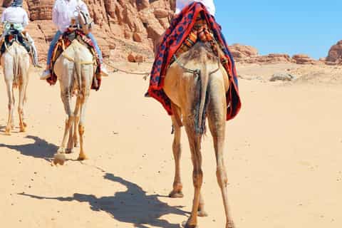 Sharm: Quad Bike, Parasailing & Banana Boat Mega Adventure