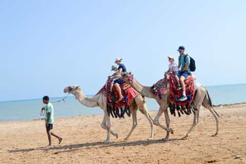 Hurghada: 1-Hour Desert & Beach Camel Ride with Transfers