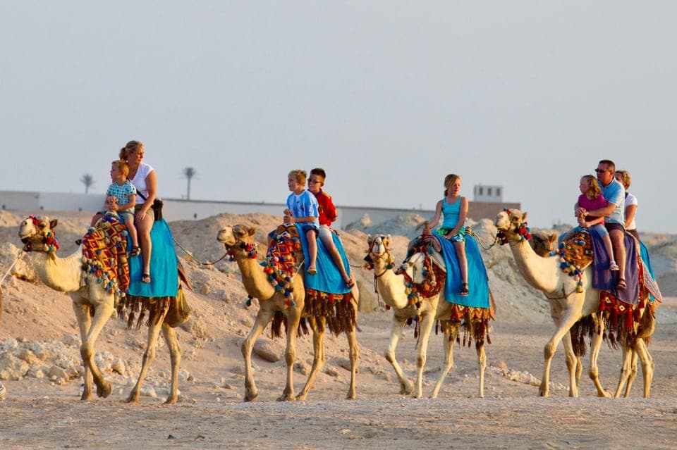 Hurghada: Camel Ride, Blue Lagoon, BBQ, and Stargazing