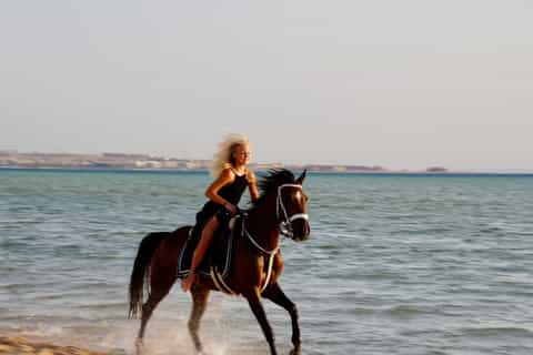 Makadi Bay: Horse Riding in Desert & Sea w Guide + Transfers
