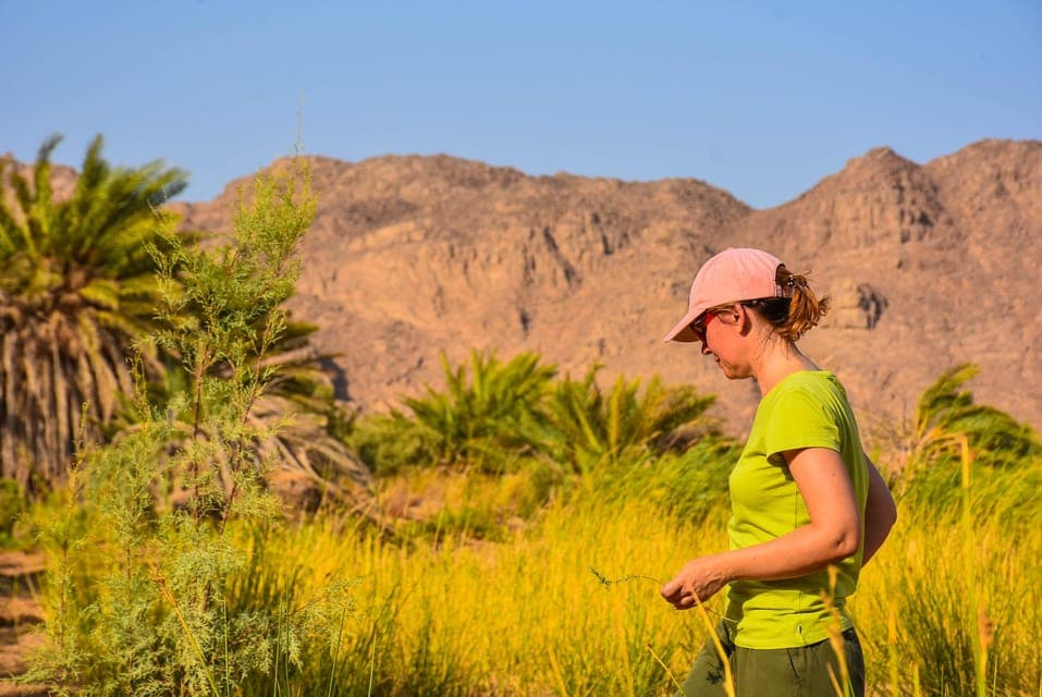 Hurghada: Melaha Oasis Jeep Tour with Dinner