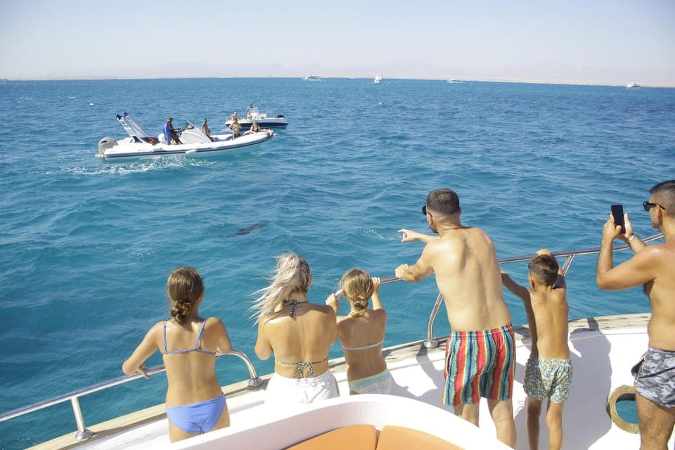 Hurghada: 5-Hours Sunset Dolphin House Snorkeling with Lunch