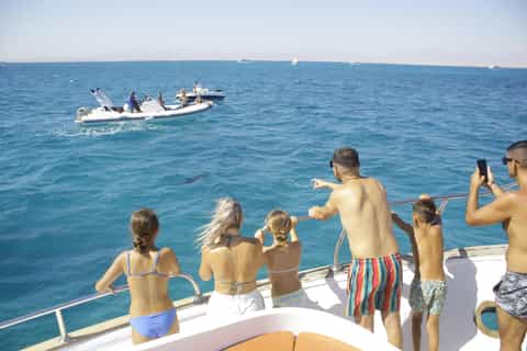Hurghada: 5-Hours Sunset Dolphin House Snorkeling with Lunch