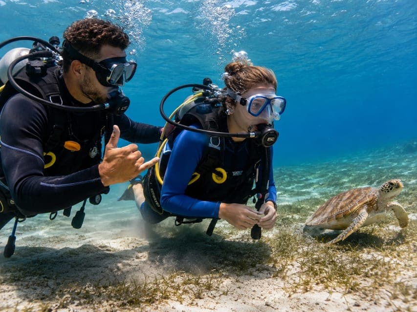 Marsa Alam: Diving & Snorkel Trips on the Boat with Lunch