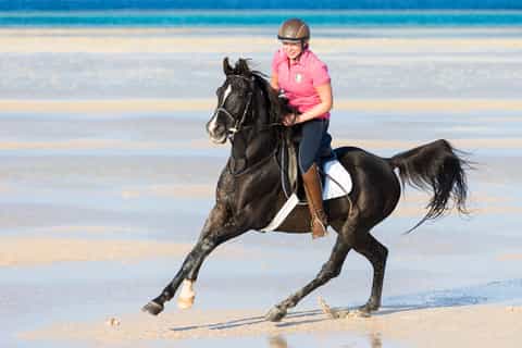 Sahl Hasheesh: Desert & Sea Horse Ride w/Optional Swimming