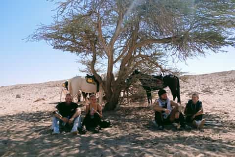 Beach & Desert Horse Ride — Hurghada