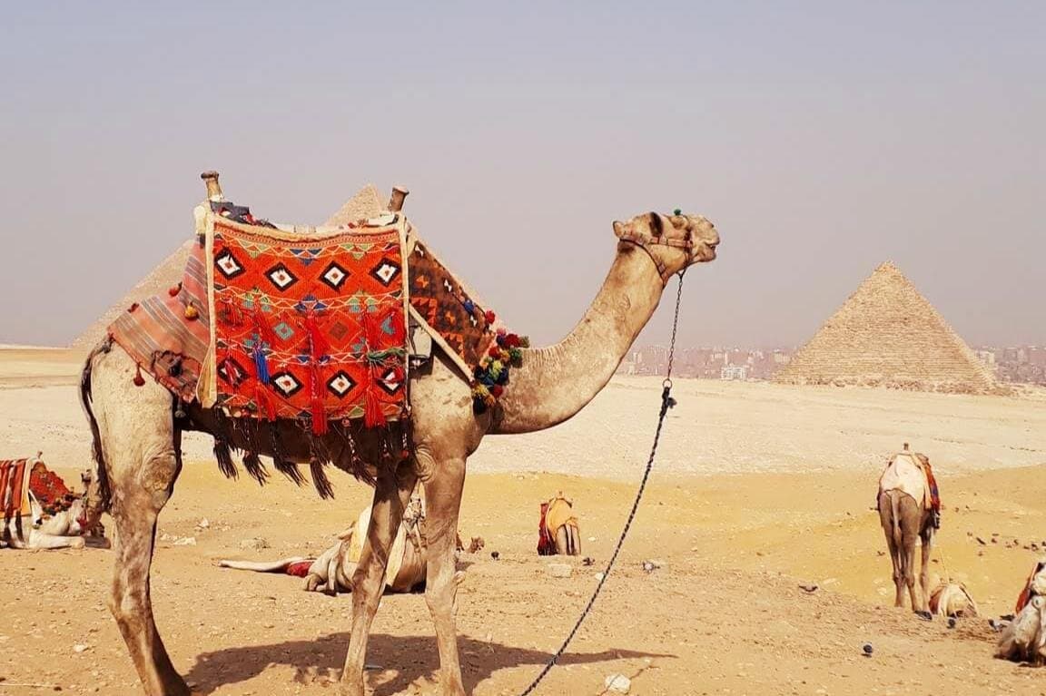 Half-Day Trip to Giza Pyramids and Sphinx with 30 M Camel-Riding
