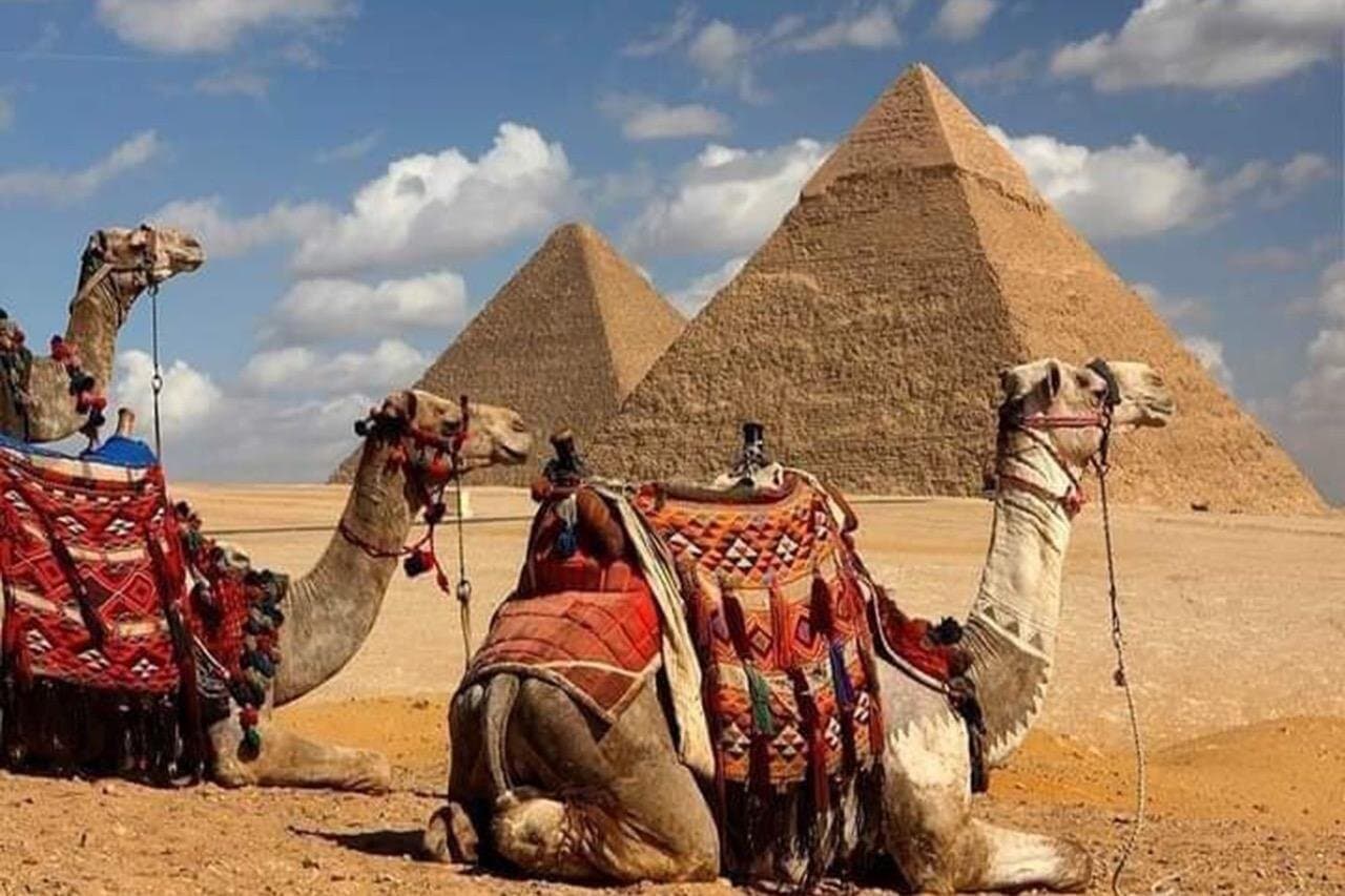 day tour to Giza pyramids& Saqqara & Memphis & Dahshour & lunch