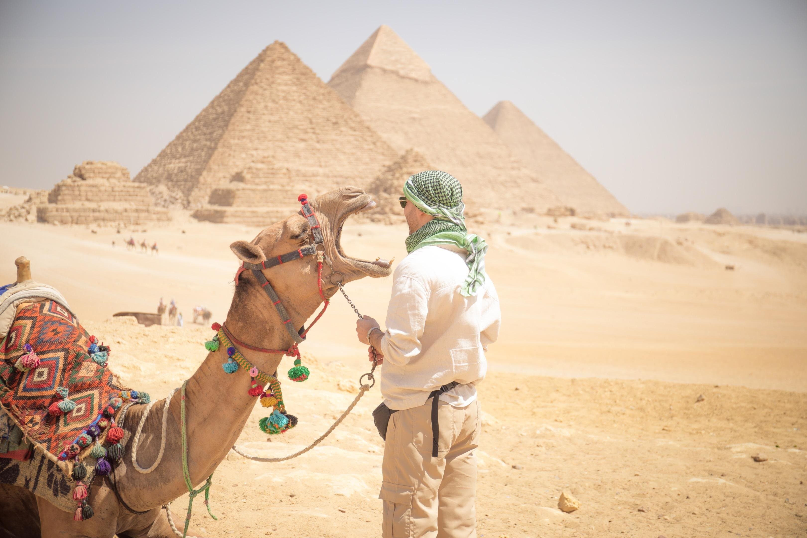 Layover Tours Visit Giza Pyramids, Memphis, Sakkara, Dahshur Pyramids & Bazaar