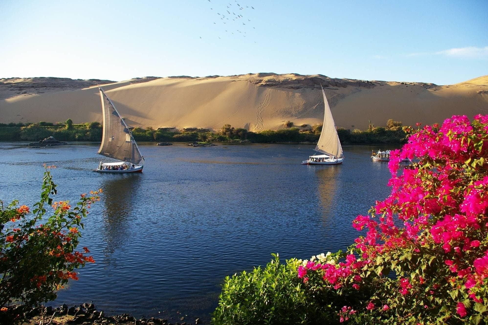 Guided Day Tour From Luxor to Aswan