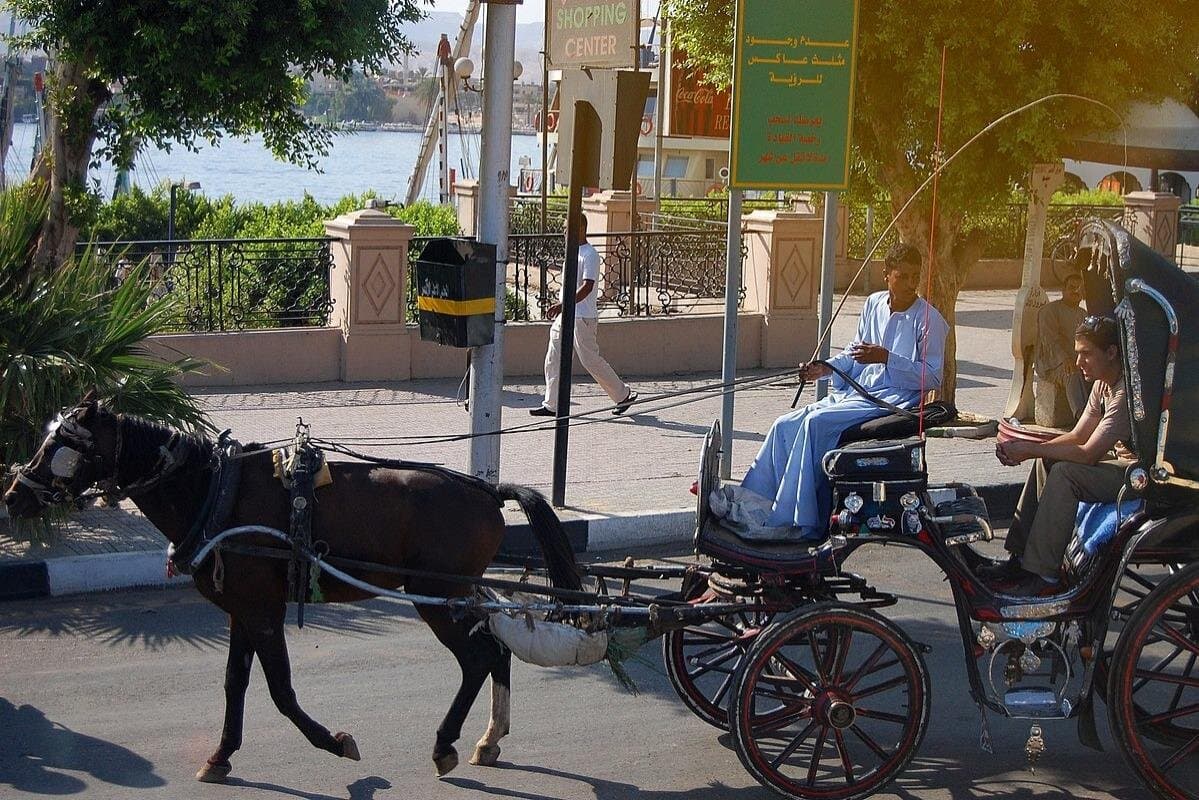 Private One Hour Horse Drawn Carriage Tour in Luxor City