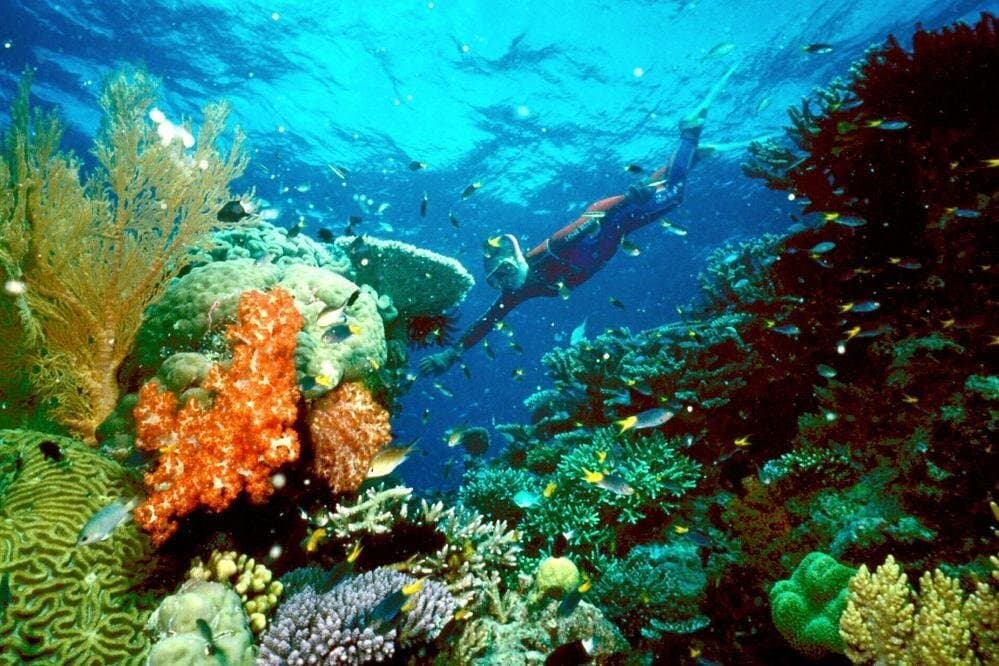 TURTLE BAY MARSA ALAM FROM HURGHADA (abu dabab)