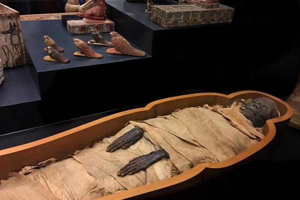 4-Hour Tour to the Mummification Museum & Luxor Museum