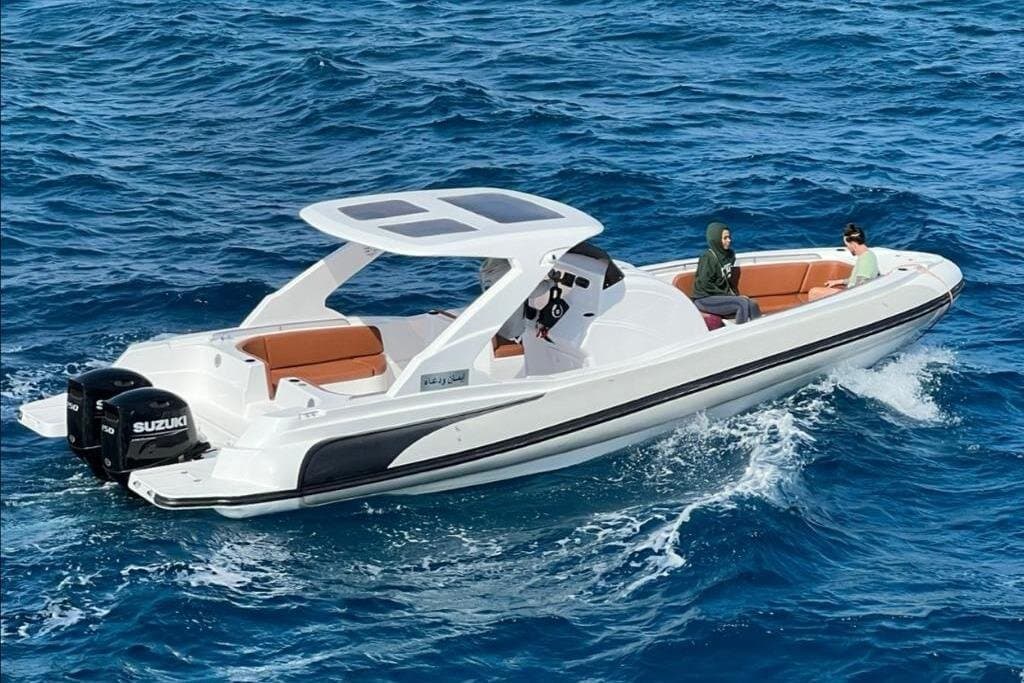 Private 4-Hour Speed Boat Sea Trip (Dolphins, Snorkeling, Island)