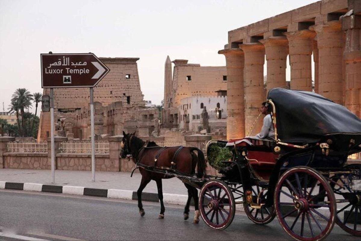 Explore Luxor City on a Horse Carriage Tour
