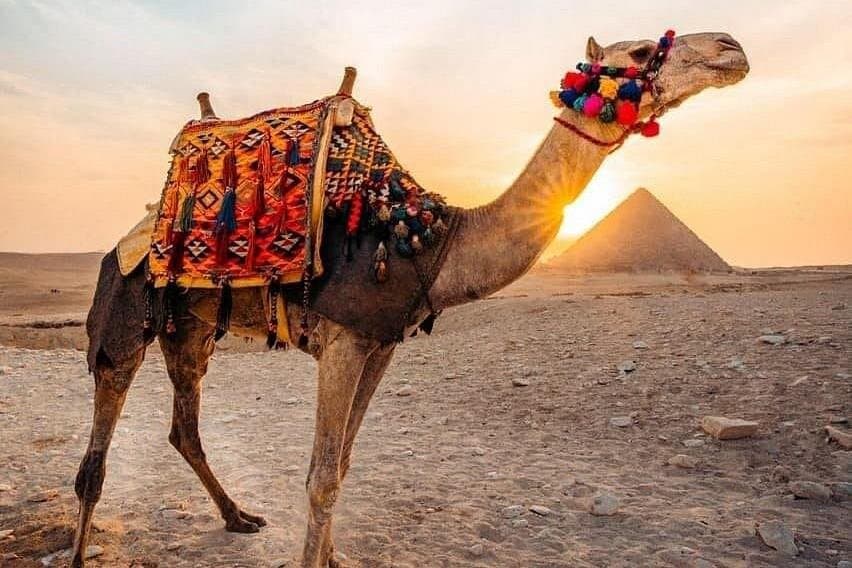 Camel Ride Tour Around the Pyramids of Giza