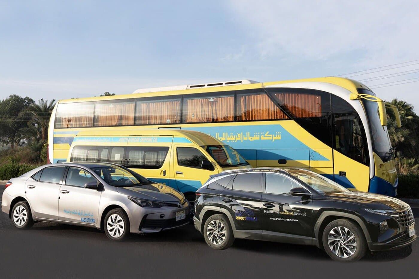 Private Transfer from Luxor to Dendarah & Abydos